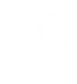Encontro SEPAL